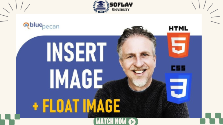 Make an HTML Button, Insert an Image in HTML CSS Formatting