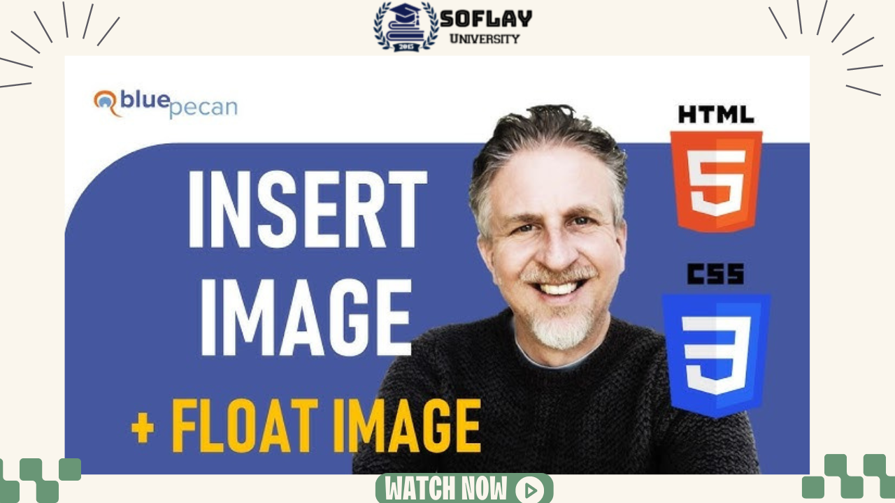Make an HTML Button, Insert an Image in HTML CSS Formatting