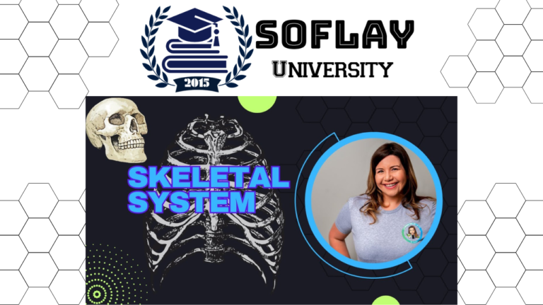 Human Skeletal System